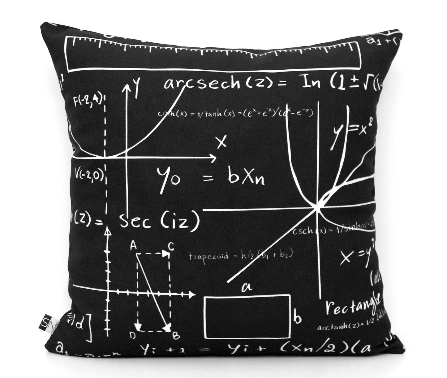 Mathematics Chalkboard Pillow Cover