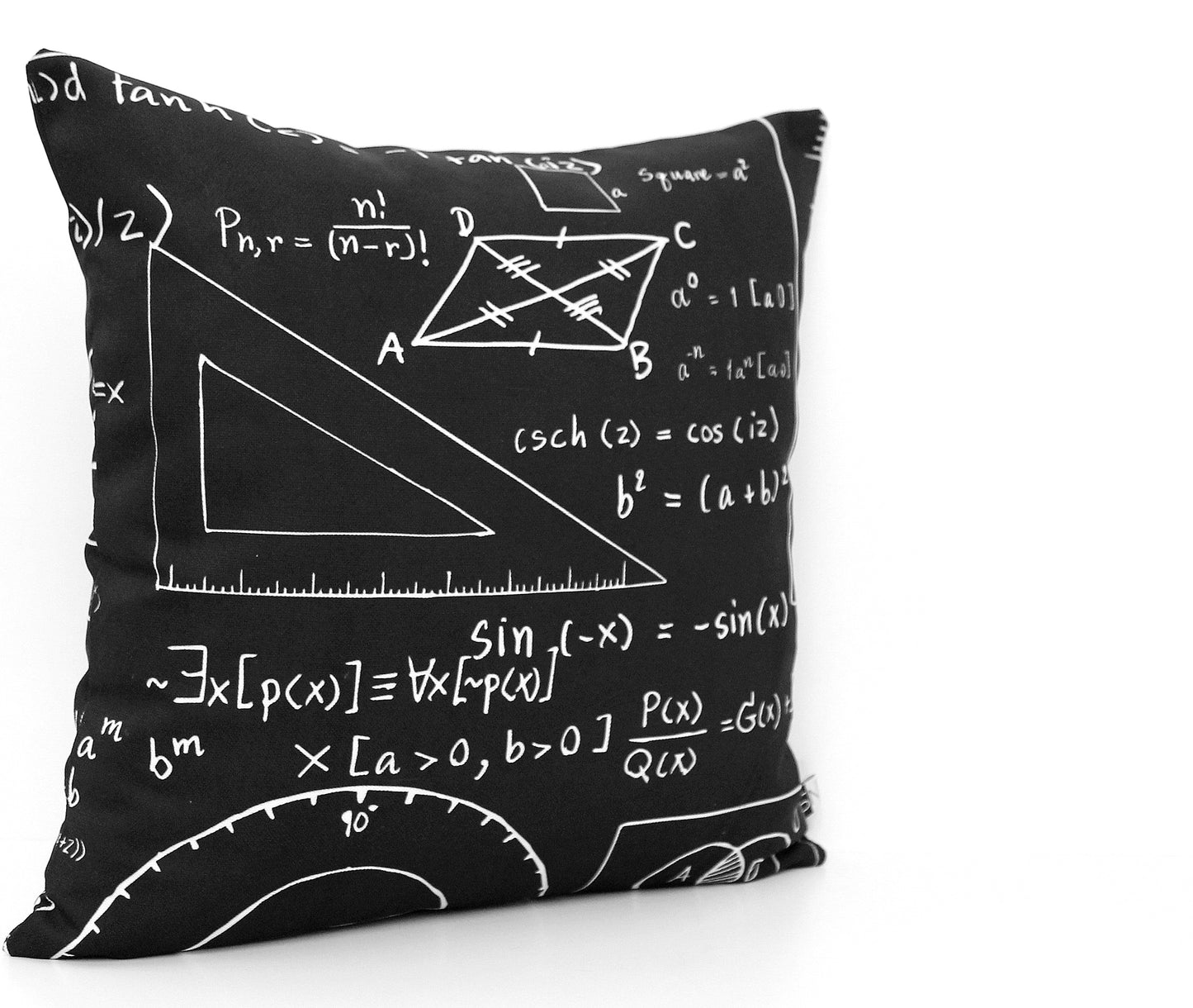 Mathematics Chalkboard Pillow Cover